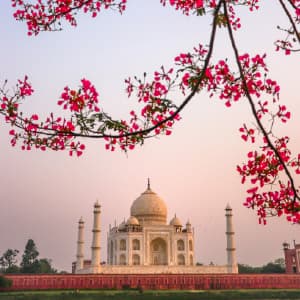 Colors of India's Golden Triangle & Rajasthan with Varanasi, Khajuraho & Kerala