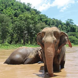 Tantalizing Thailand with Kanchanaburi & Phuket