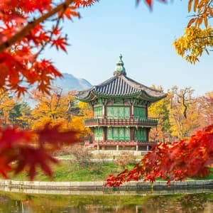 Discover South Korea