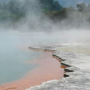 Treasures of New Zealand: Heritage, Vines, & Vistas