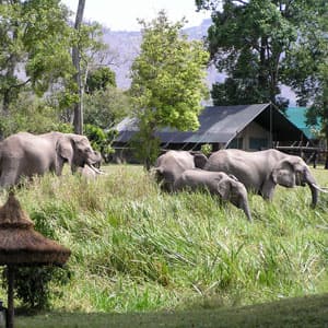 Tanzania: The Serengeti & Beyond