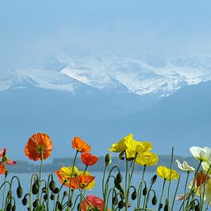 Spectacular Switzerland